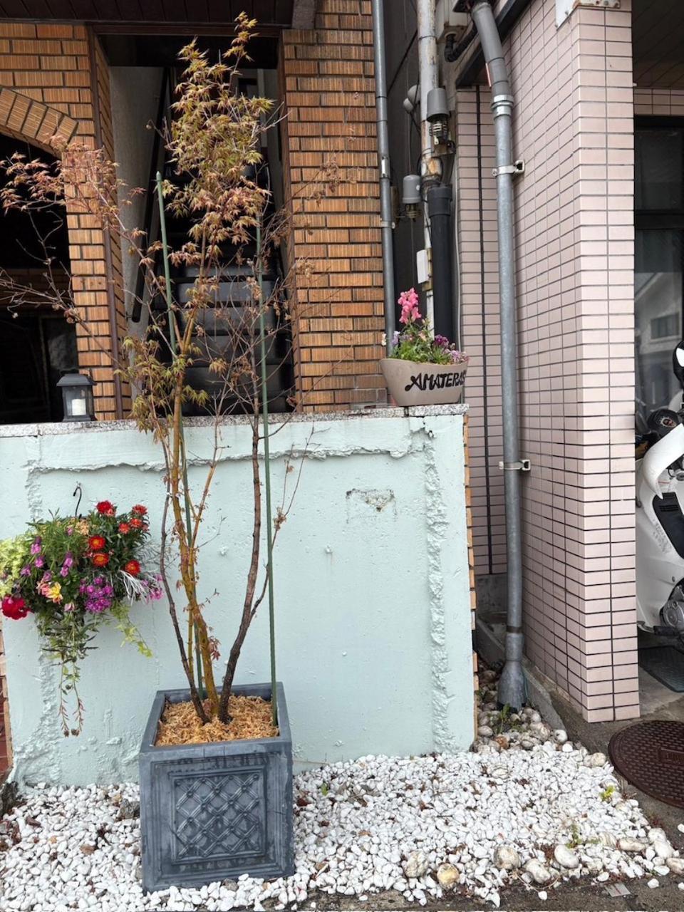 Amaterrace Hotel Matsumoto Luaran gambar